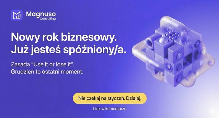 Dlaczego CEO musi podjąć decyzję o consultingu już w grudniu, żeby wszystko uporządkowane mieć w styczniu? Magnuso wyjaśnia.